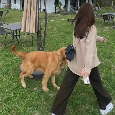 失重青春